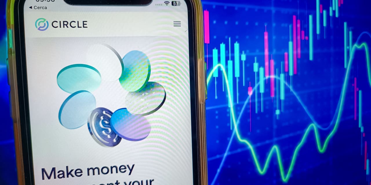 Circle gibt Krypto-Investoren Grund zur Freude mit einem deutlichen ...