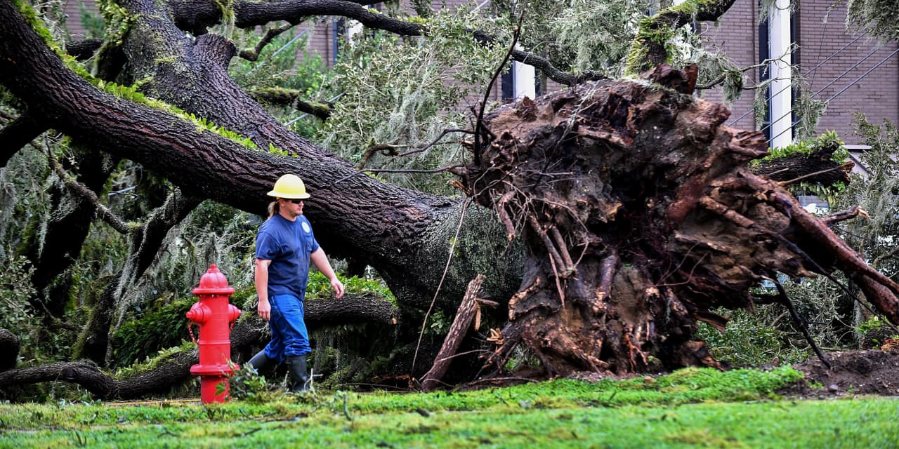 How fast utilities recover from hurricanes like Ian can tell you which of their stocks is best