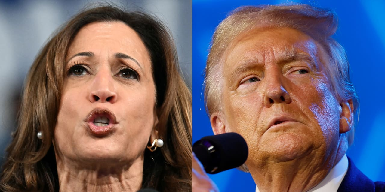 FTX Bankruptcy Estate to Auction Off Worldcoin Tokens This Week