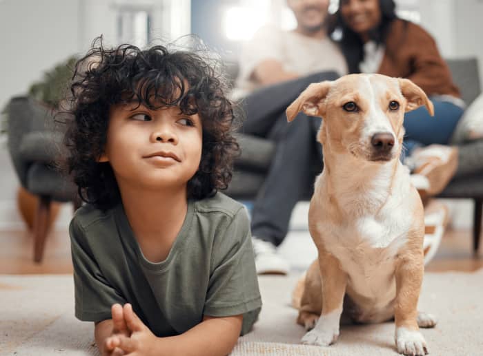 Landlords are charging tenants 'pet rent' and 600 fees. Some pet