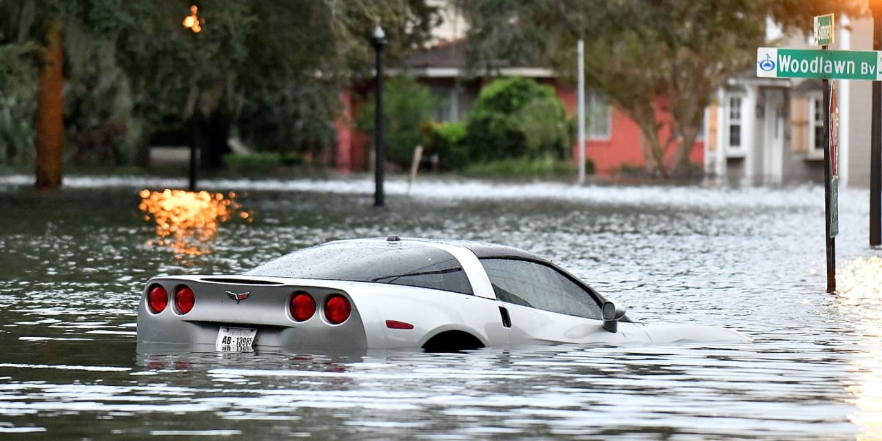Tons of Incredible Cars Were Sacrificed to Hurricane Ian: Now They