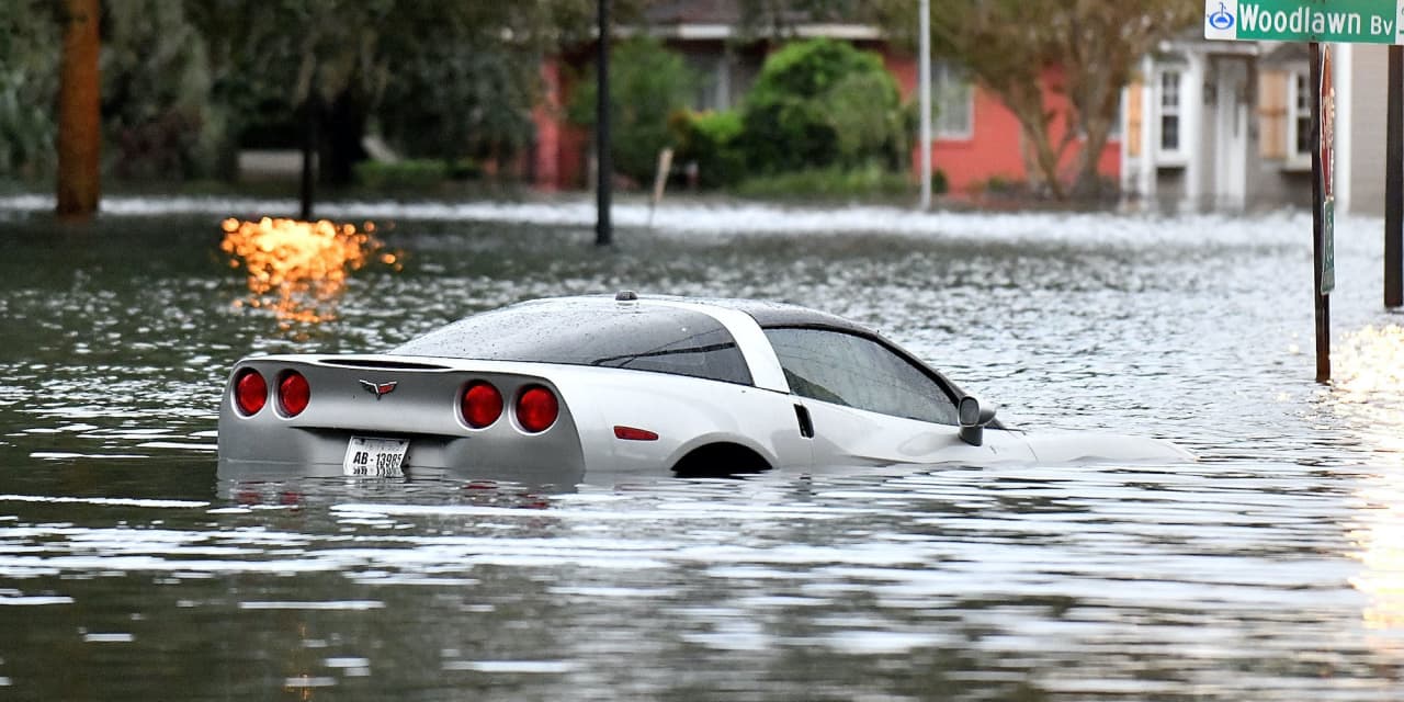 Tons of Incredible Cars Were Sacrificed to Hurricane Ian: Now They