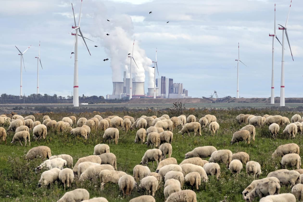 Germany's Scholz: Emergency coal use can't foster a 'worldwide renaissance'  for the polluting fuel source - MarketWatch
