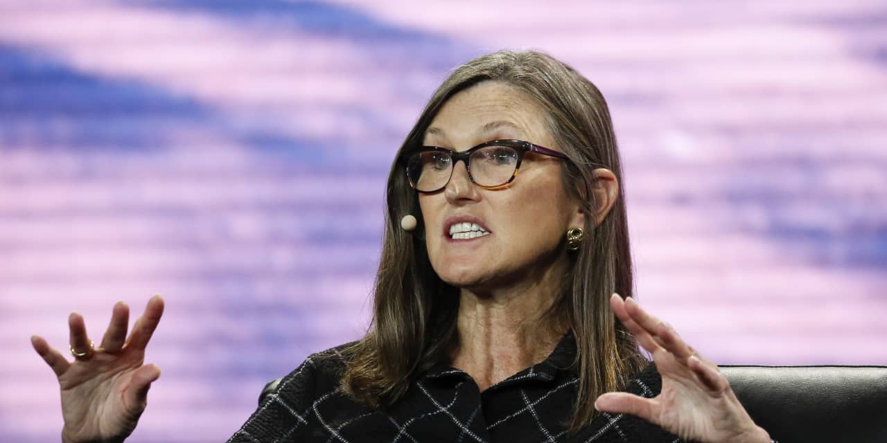 On eve of Nvidia results, Cathie Wood sells more stock in the chipmaker - Vimarsana News