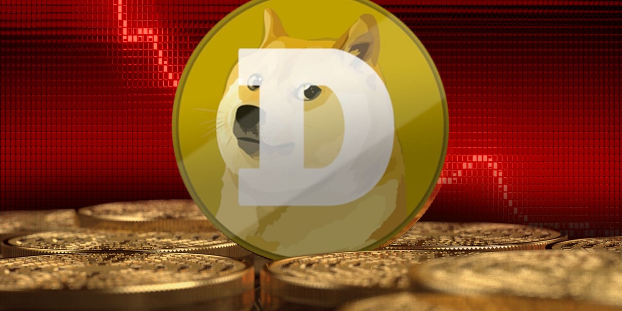 Dogecoin cae después de que Twitter cambiara la imagen de Shiba Inu por el logotipo de un pájaro