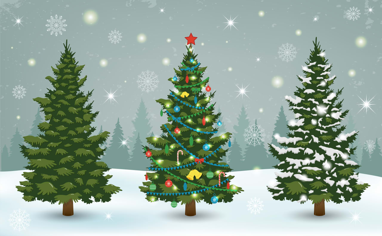 How inflation could affect the price of your Christmas tree