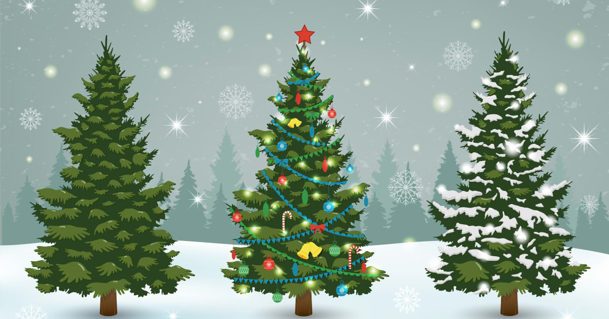 How inflation could affect the price of your Christmas tree - MarketWatch