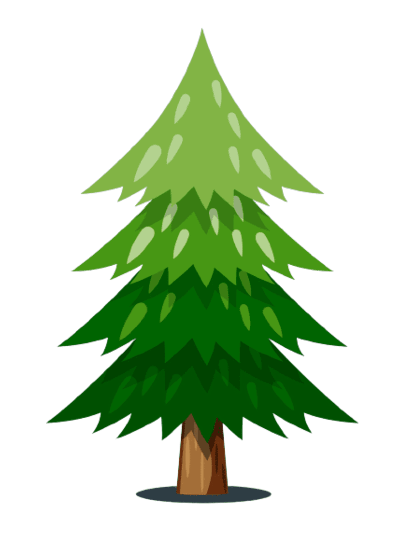 Green pine in cartoon style. Forest traditional tree. Colorful PNG