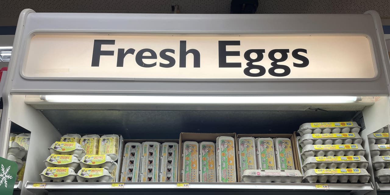 Cal-Maine stock drops, as lower egg prices hit quarterly results - Vimarsana News