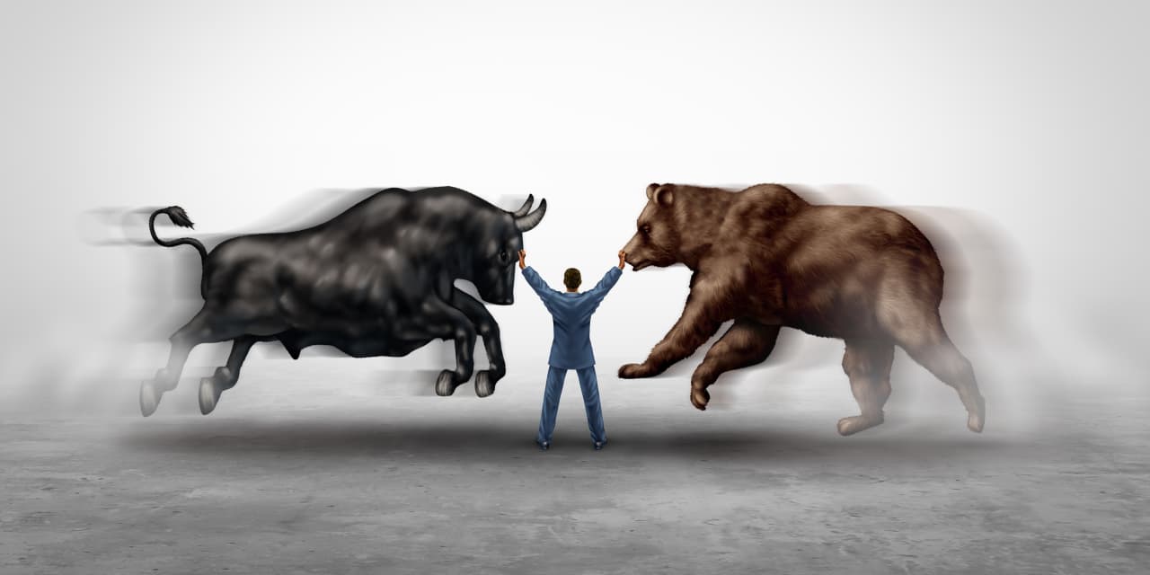 #Mark Hulbert: Which stocks will fuel the next bull market? Don’t bet on the bear market’s winners.