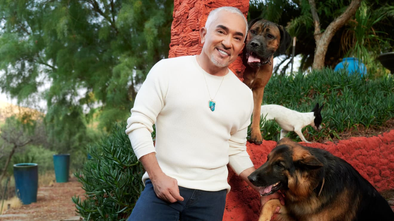 Dog guru Cesar Millan A long walk is 'biggest birthday gift you can