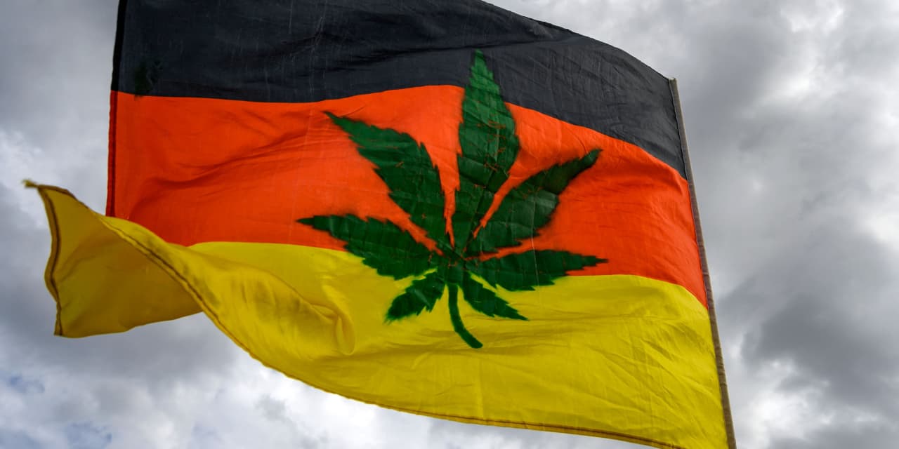 Medical cannabis maker Cantourage surges in Frankfurt debut