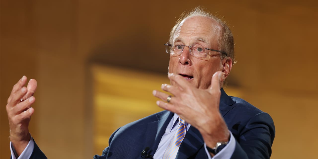 Opposition to data centers will drive up inflation, says BlackRock’s Larry Fink