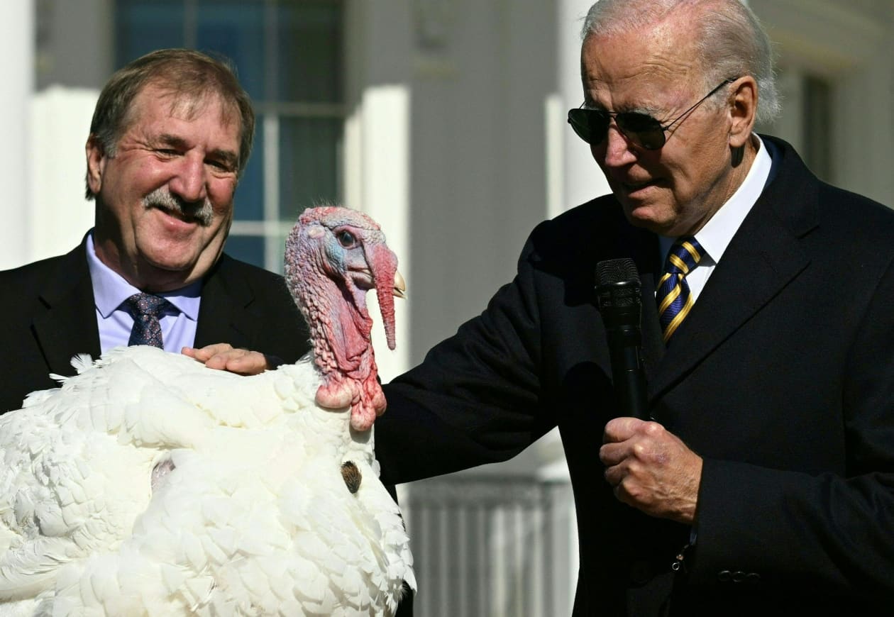 Biden pardons Thanksgiving turkeys Chocolate and Chip with ‘no fowl