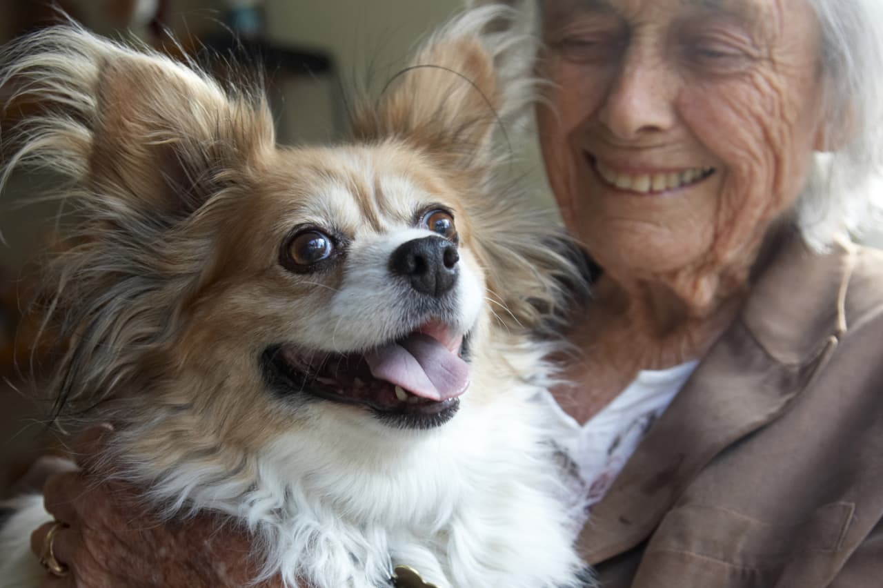 Is My Dog Getting Enough Attention