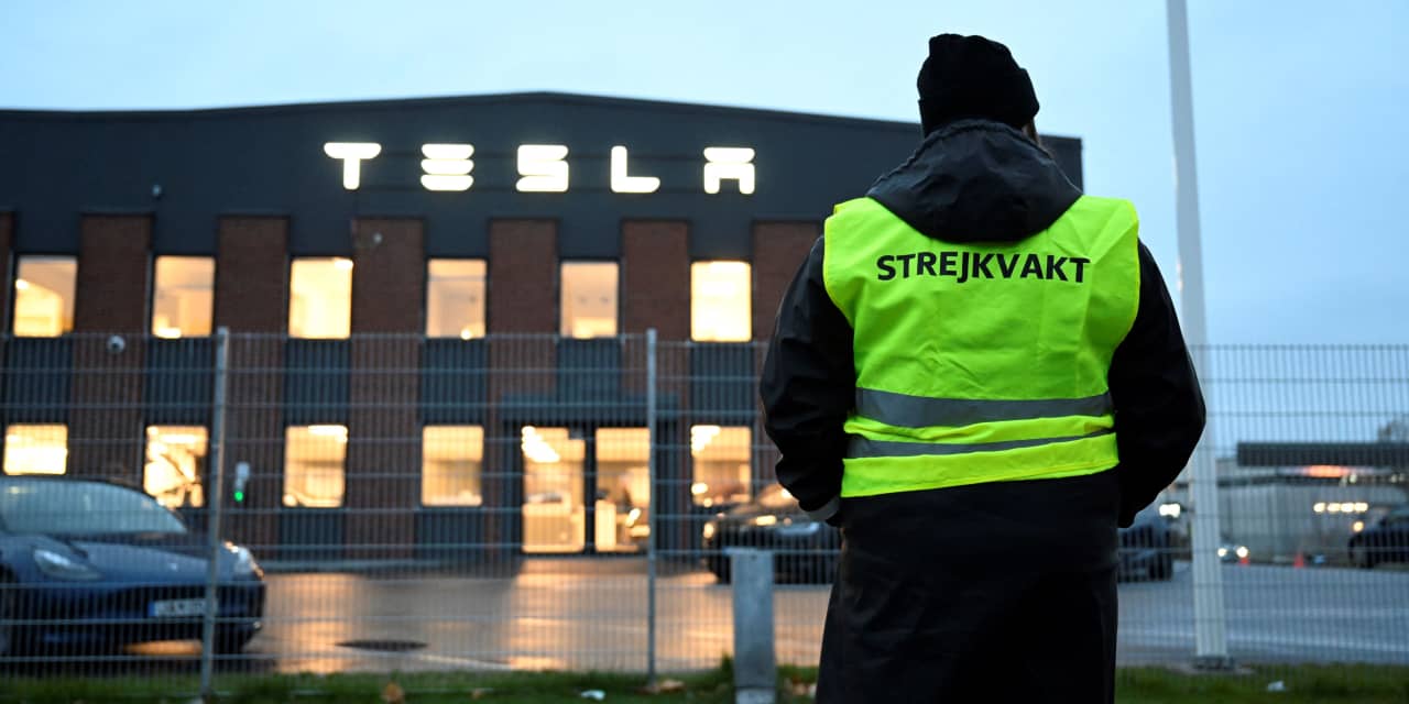 Elon Musk and Tesla face union battles across Scandinavia. Here's what to know. - Vimarsana News