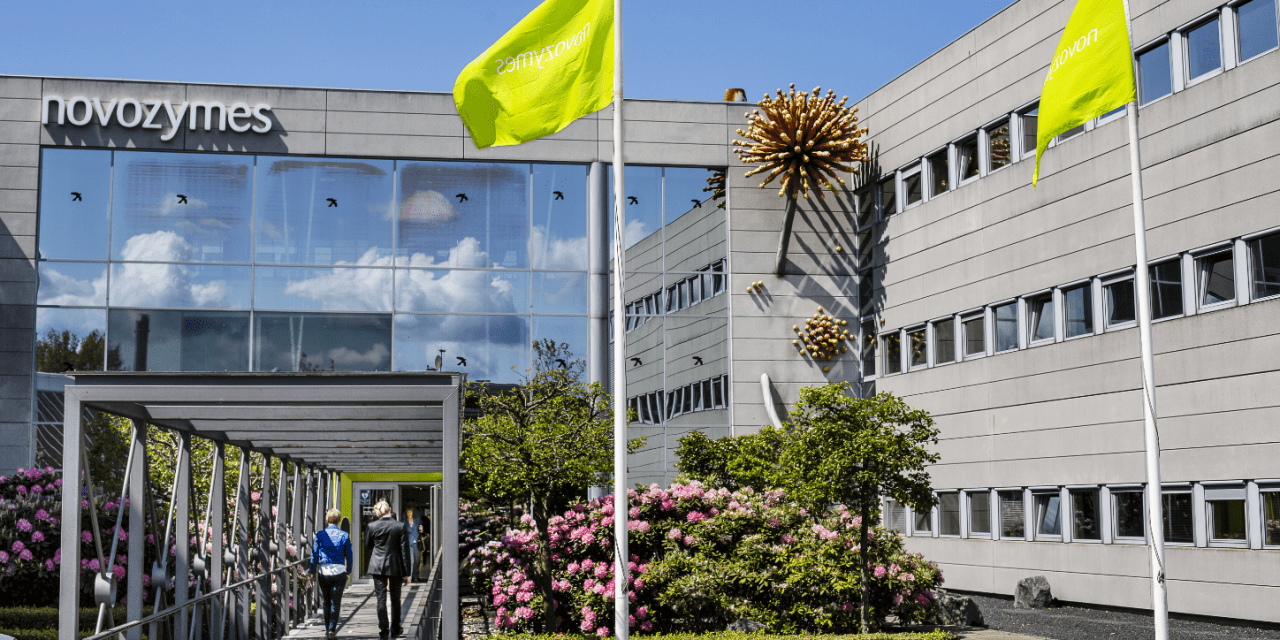 Novozymes and Chr. Hansen agree deal to merge