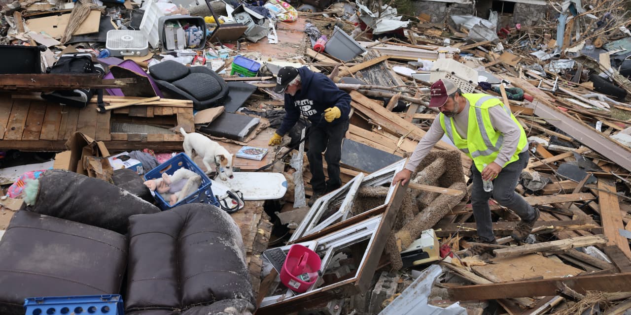 They are the Marines of disaster relief: How to become a spontaneous ...
