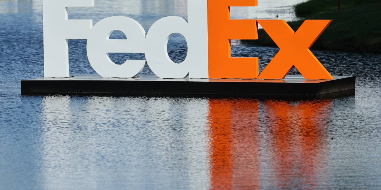 #: FedEx and Nike earnings will hold vital hints on holiday-shopping strength