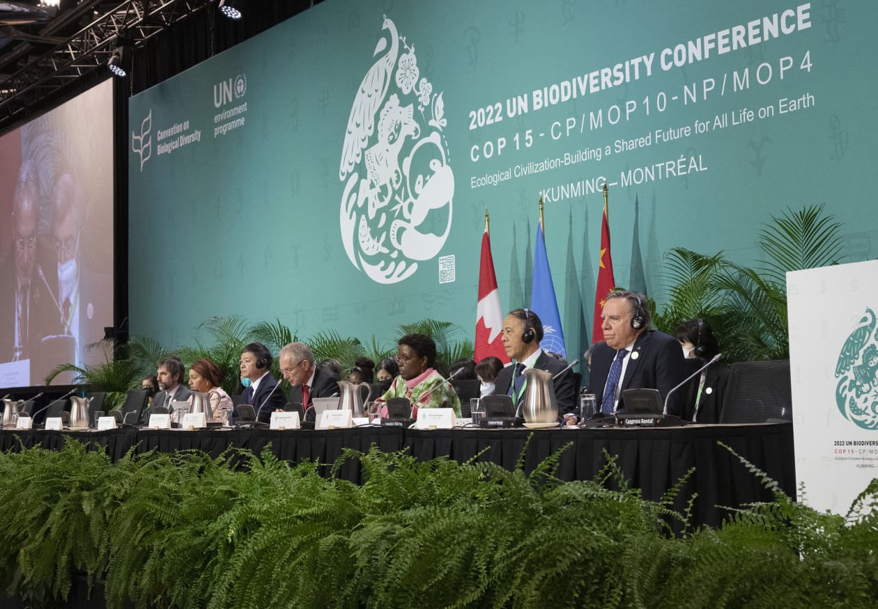 Biodiversity agreement reached at United Nations conference - MarketWatch