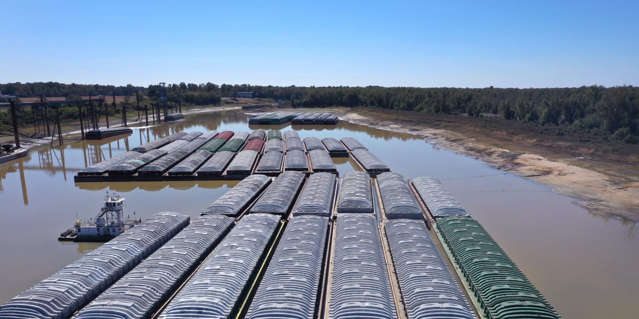 Low Mississippi water levels again present an opportunity for railroads: analyst - Vimarsana News