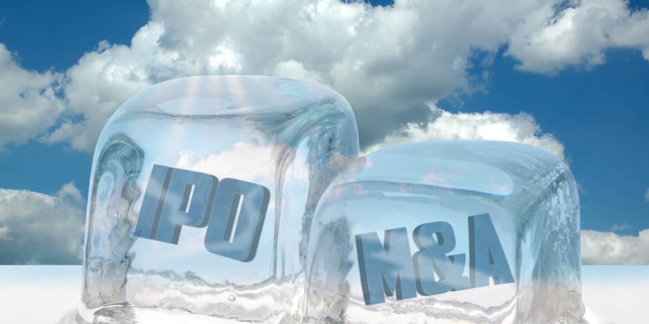 IPO freeze gives way to cautious optimism as dealmakers see signs of a thaw - Vimarsana News