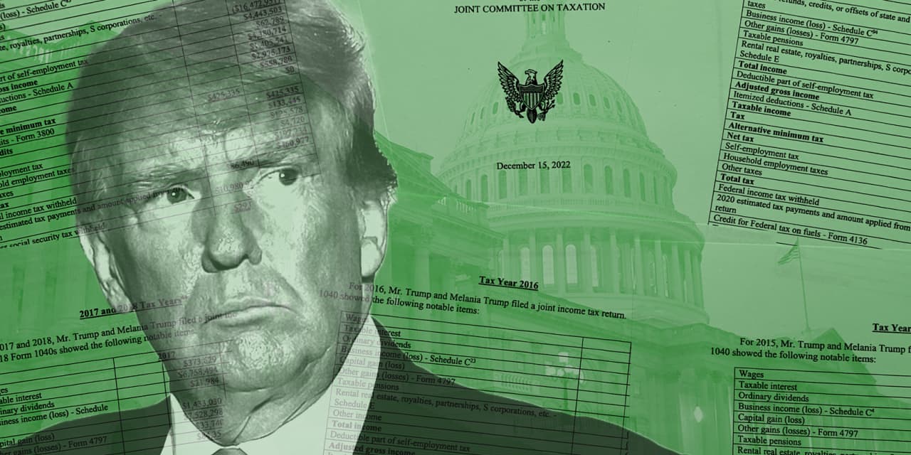 Democrats release Trump’s tax returns, and CPAs have questions: ‘In order to generate these kinds of losses, you need to be super rich.  It’s not a poor man’s game.’