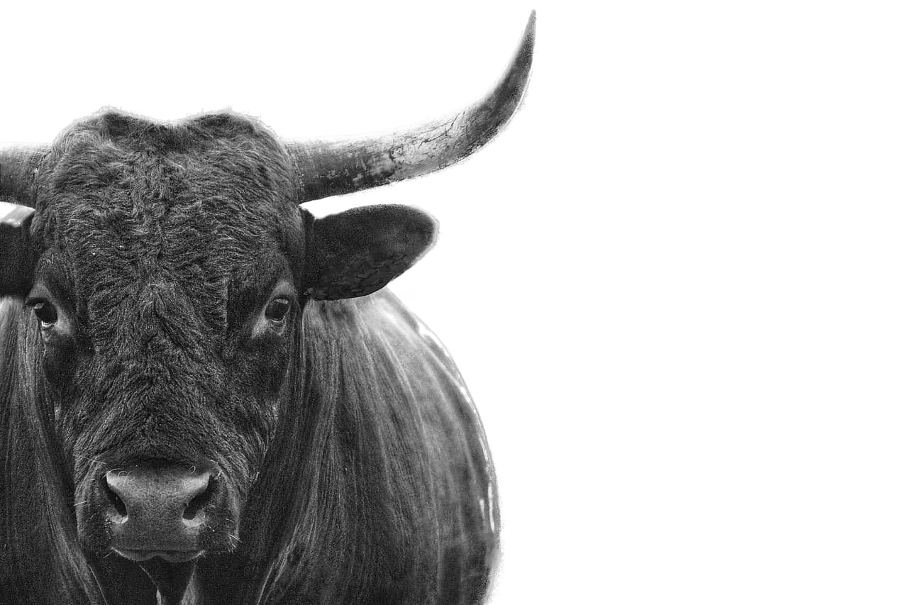 Opinion: The bull market's final high is still ahead of us