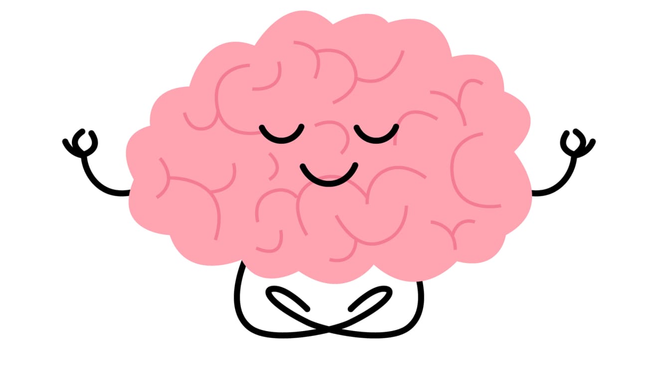 This is your brain on nature How to get ‘15 minutes of forest’ daily to improve your health