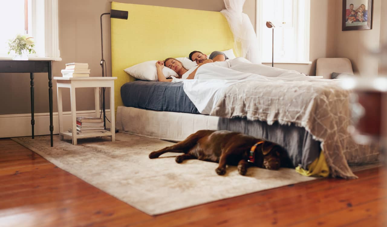 The Best Mattresses for Back Sleepers in 2024