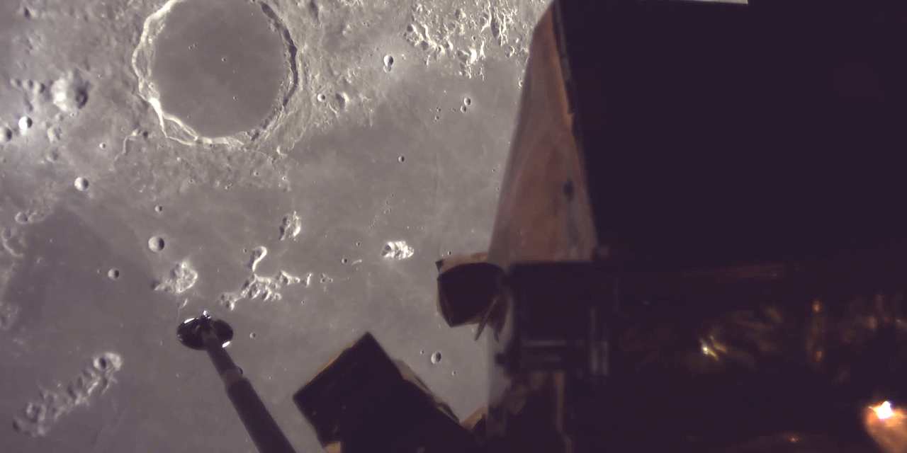 Moon　 social