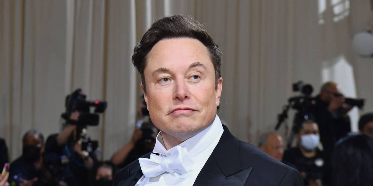 Opinion: Elon Musk's pay-package fight shows how modern CEOs see themselves as royalty - Vimarsana News