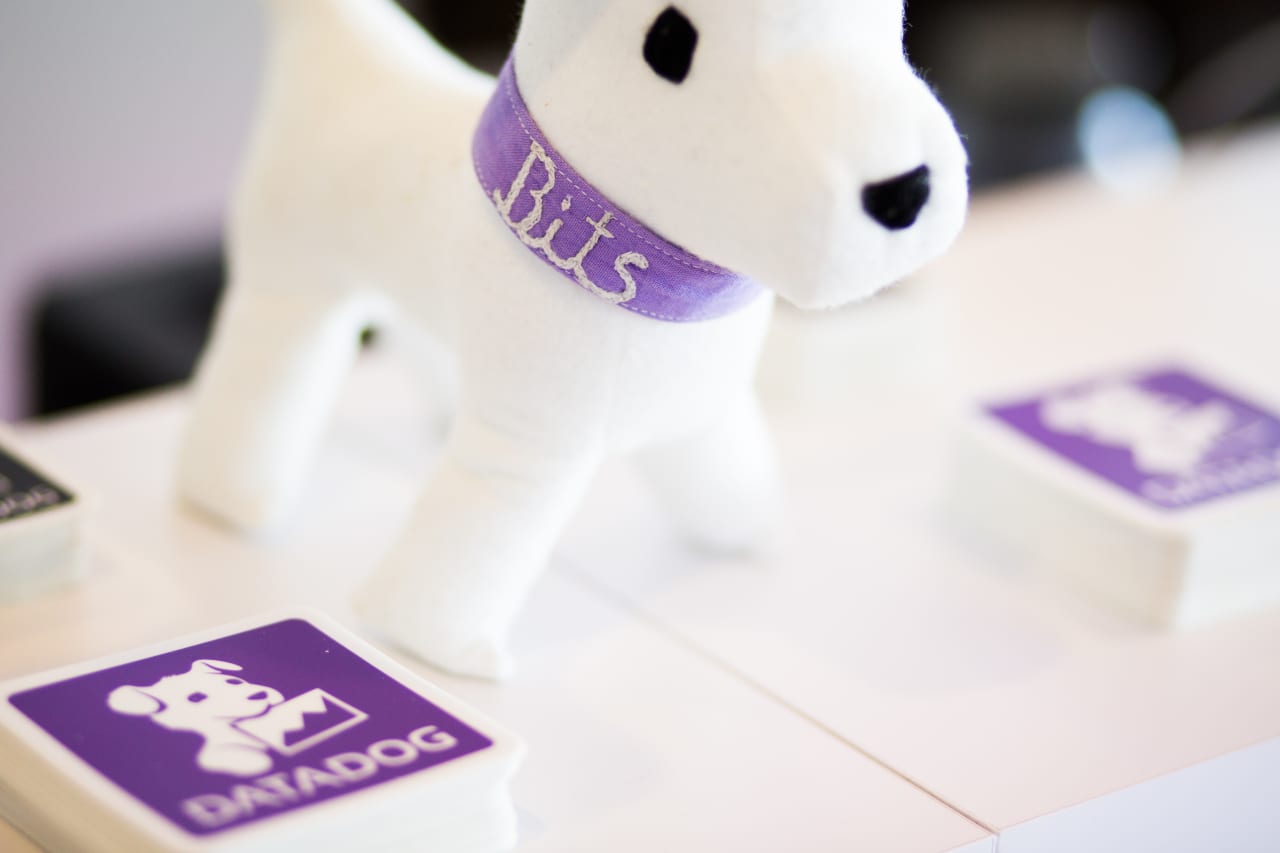 Datadog’s earnings beat estimates, but the stock still skids