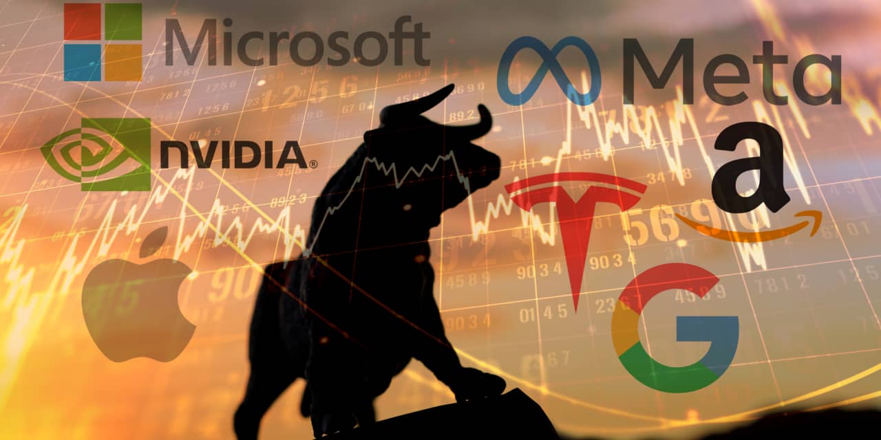‘Magnificent Seven’ up for another bull run? What to expect from technology stocks in 2024.