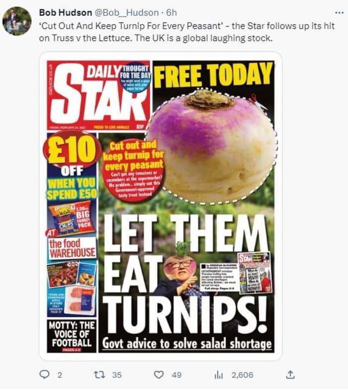 Let them eat turnips? The salad crunch is on and Brits have had quite