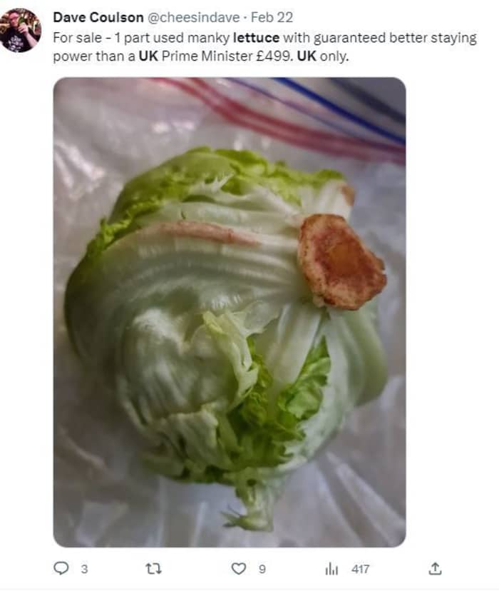 Let them eat turnips? The salad crunch is on and Brits have had quite