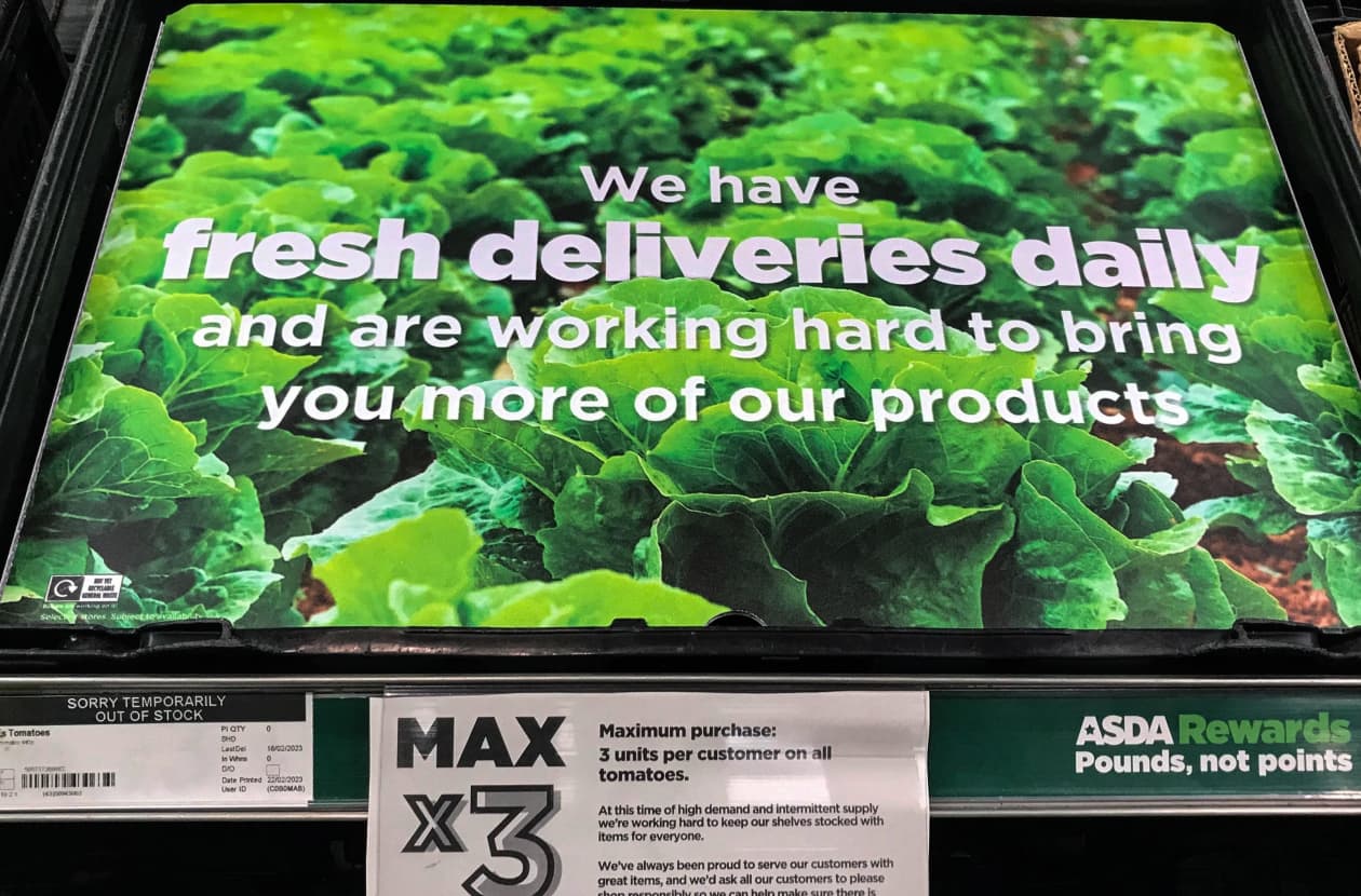 Let them eat turnips? The salad crunch is on and Brits have had quite