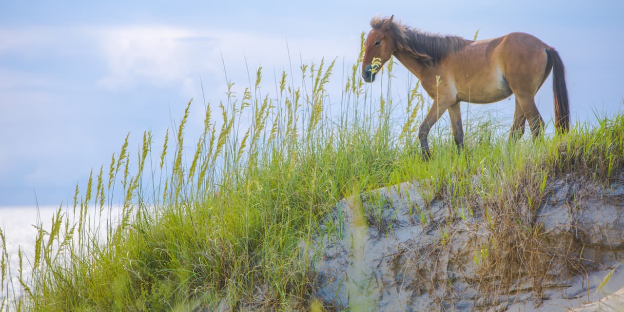 Try a weekend in North Carolina’s Outer Banks for a sun-bum culture fix