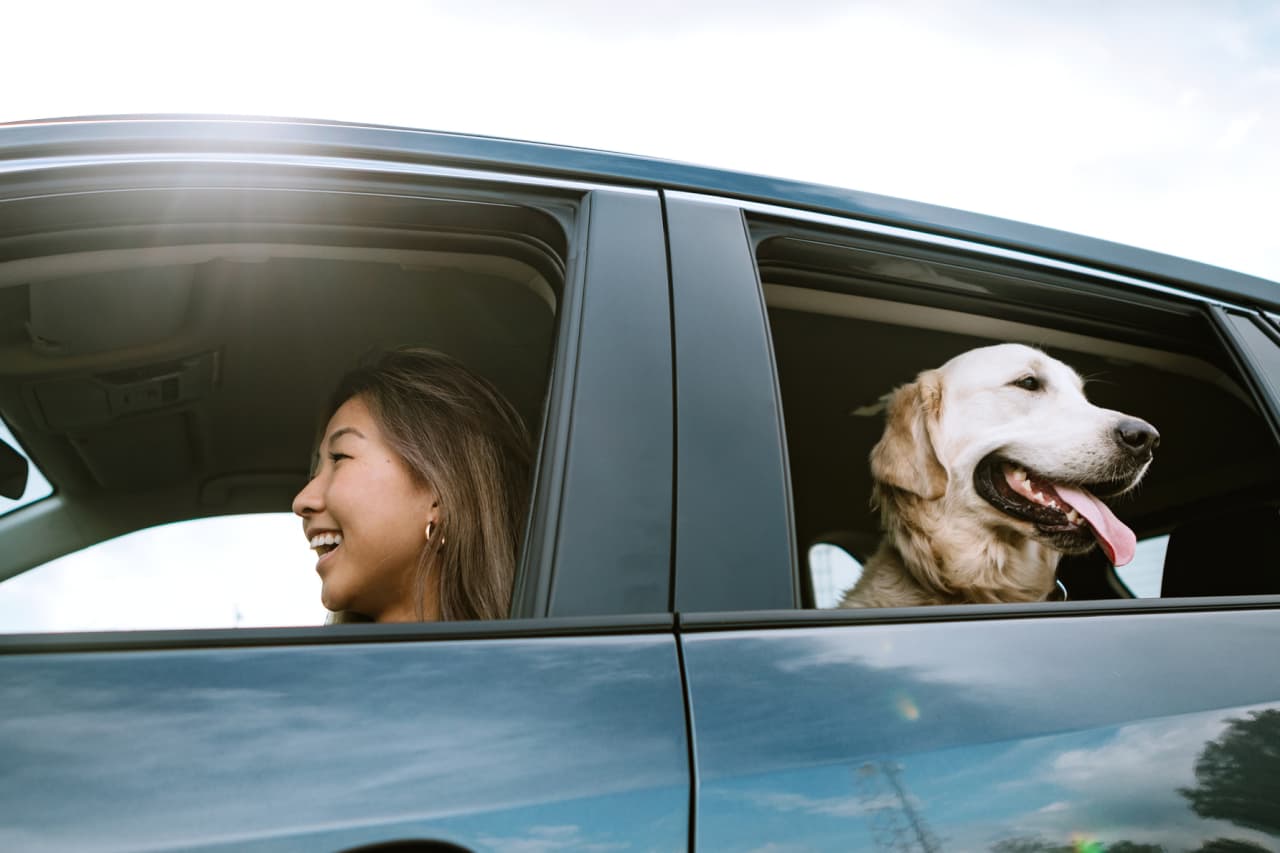 Here's an investment strategy geared to give you a smooth ride down Wall Street