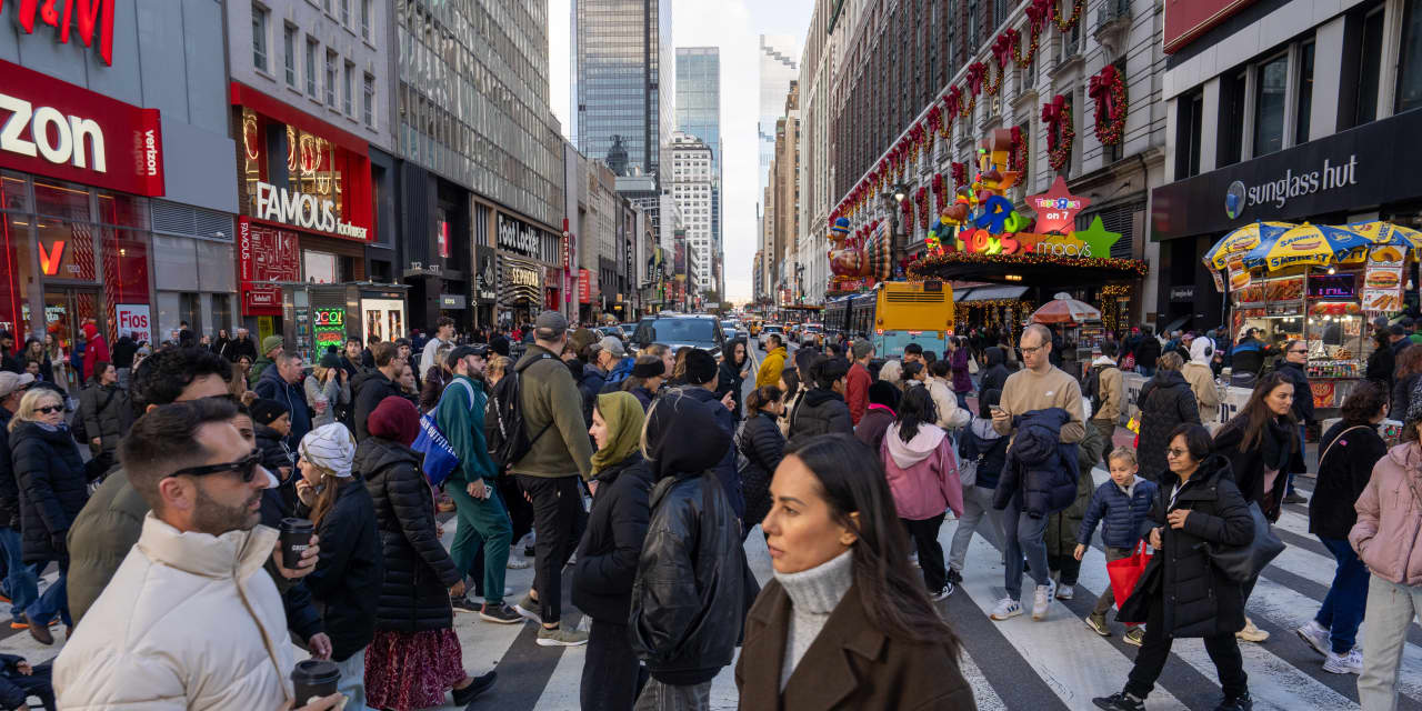 This holiday season, online deals might be ‘a little weaker,’ as sales slow and shoppers navigate tariff fears