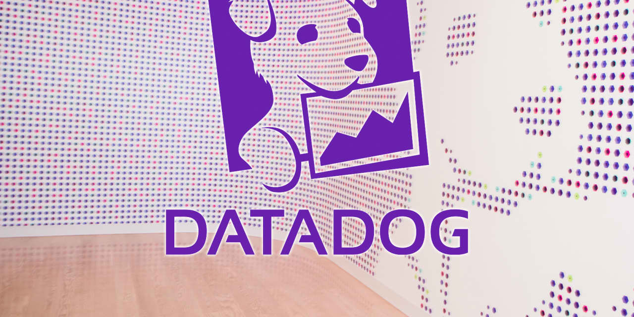 #Earnings Results: Datadog stock soars after earnings beat suggests company could be ‘out of the doghouse’