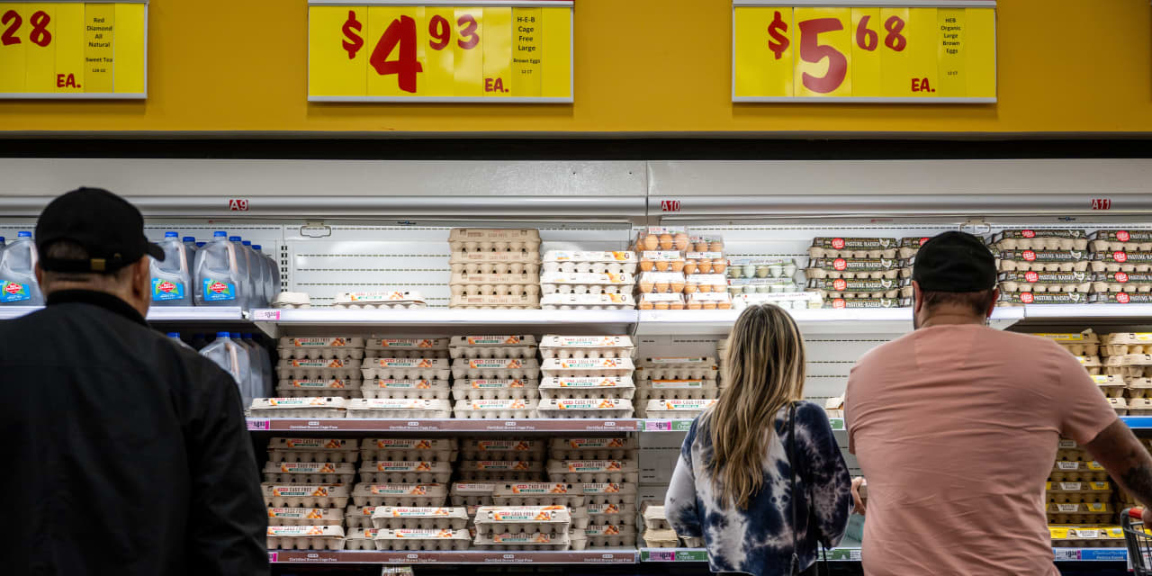 Eggs and other wholesale prices decline, PPI shows, and hint at easing inflation