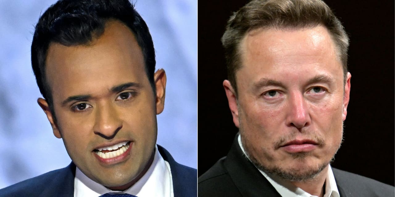 Elon Musk, Vivek Ramaswamy to run Trump's 'Department of