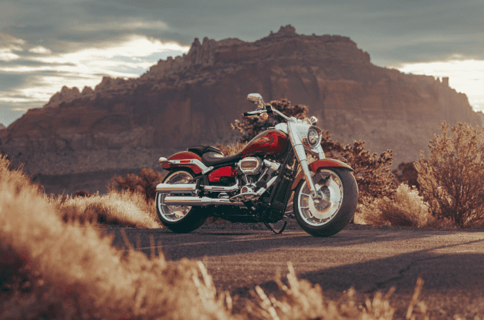 Harley Davidson s stock will be worth some up front bumps