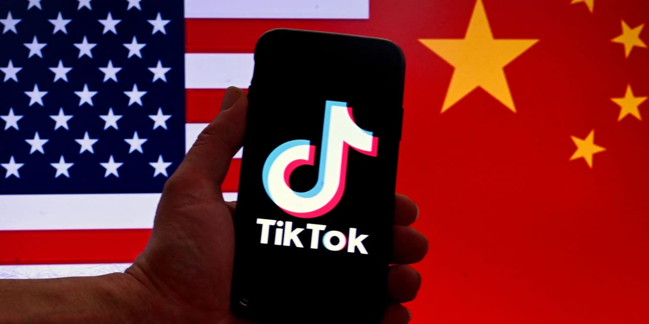 A TikTok ban is just ‘a Band-Aid on maybe a small scab,’ N.Y. Democrat says