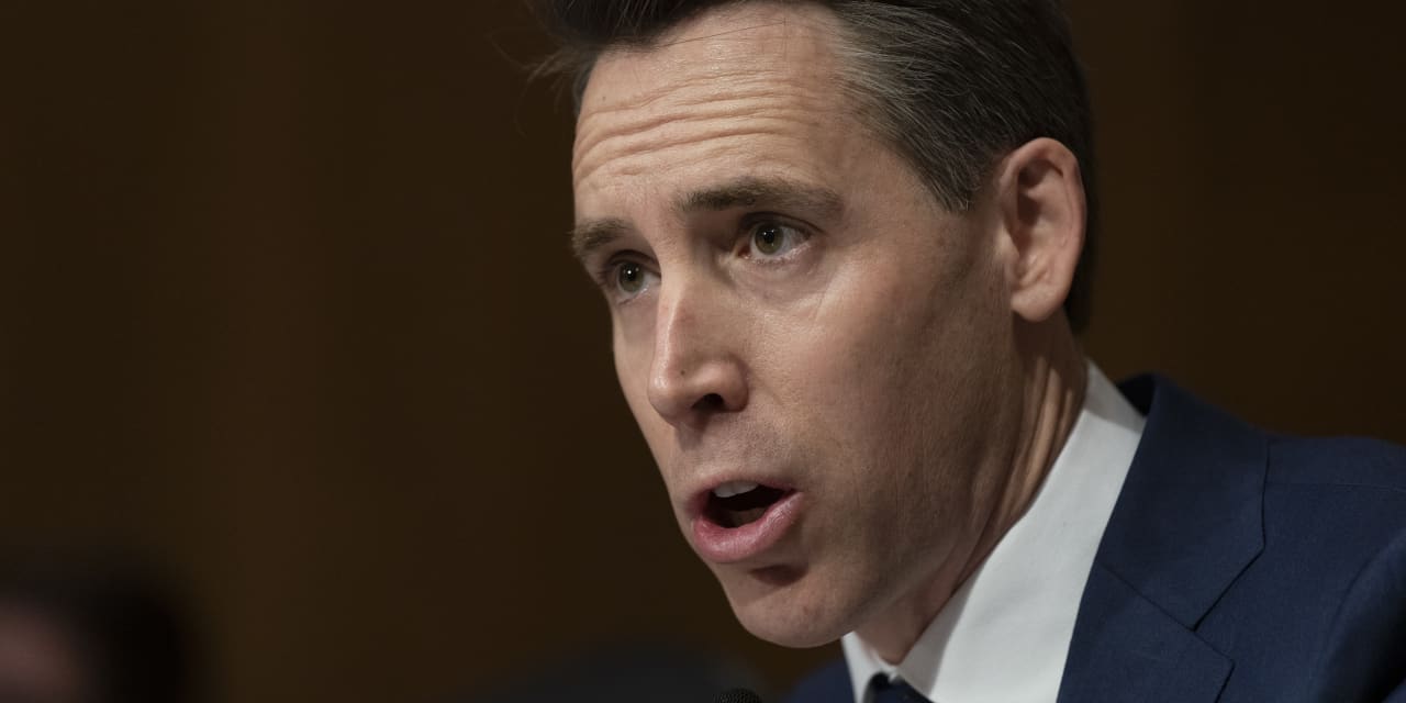 Hawley’s move to force vote on TikTok ban is blocked in Senate