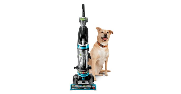 11 best vacuums for pet hair, according to an analysis of 9 review