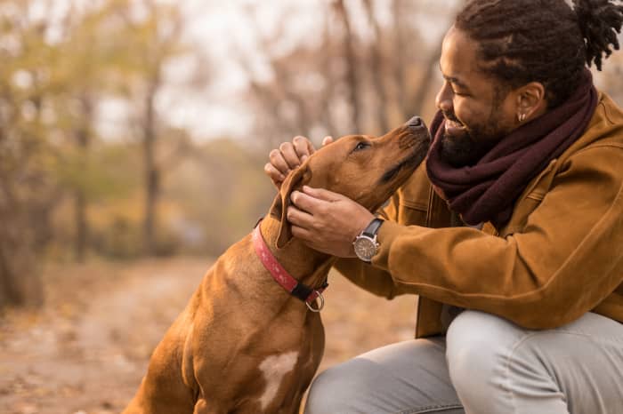 are dogs allowed in care homes