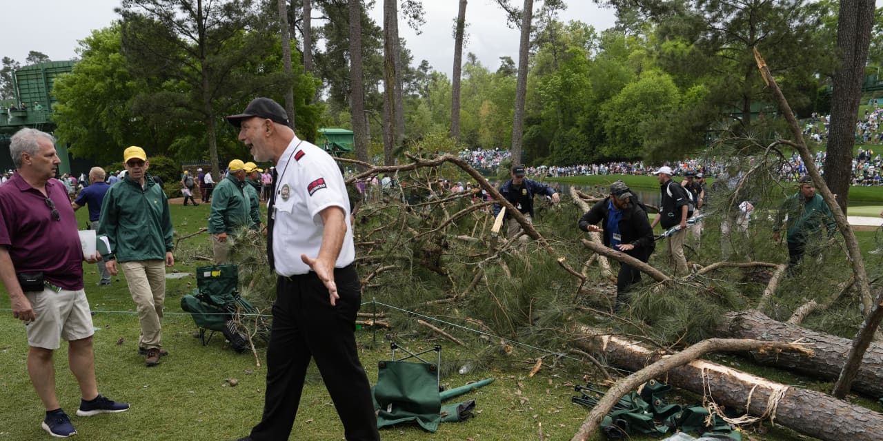 No injuries after trees fall near Masters spectators, suspending play