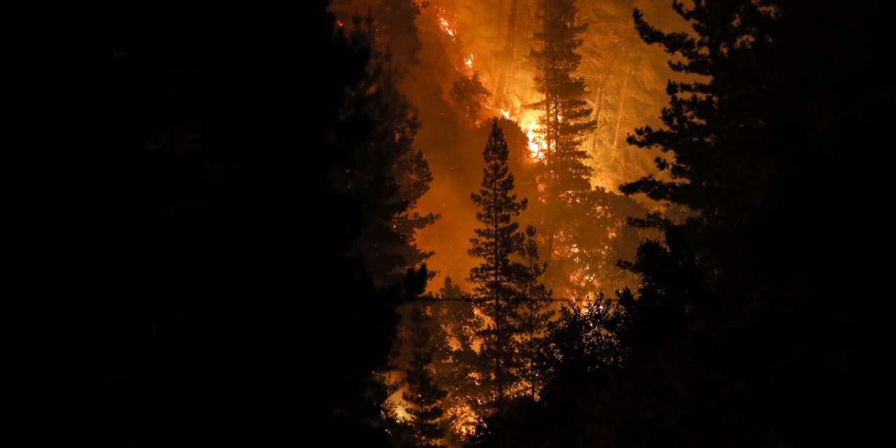 Red flag warning triggered for 20 states on risks from forest fires